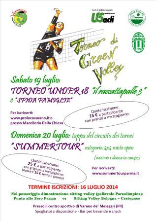 Green Volley 2014
